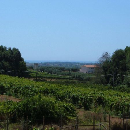 Azienda Agricola Sinisi Cerveteri Exterior photo