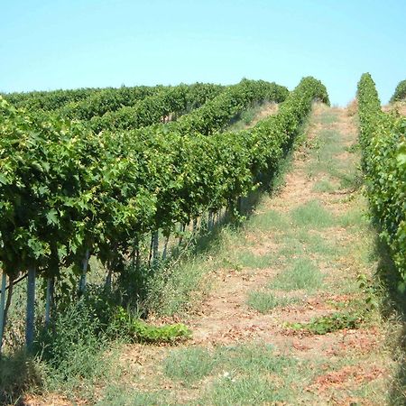 Azienda Agricola Sinisi Cerveteri Exterior photo